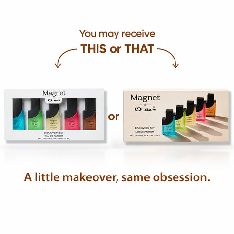 Magnet Discovery Set of 5 X 15ML